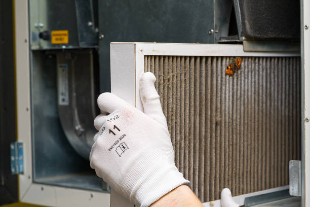 Best Air Quality Test  in Mcswain, CA